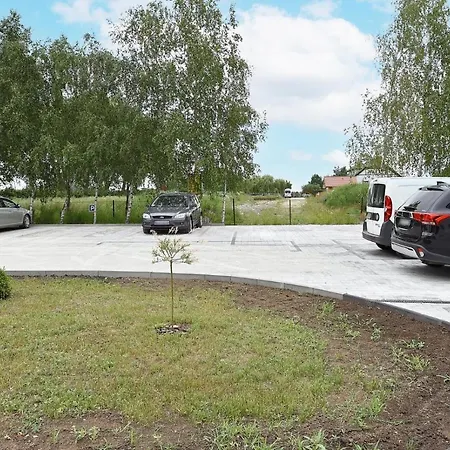 Zielona Dolina 2020 *