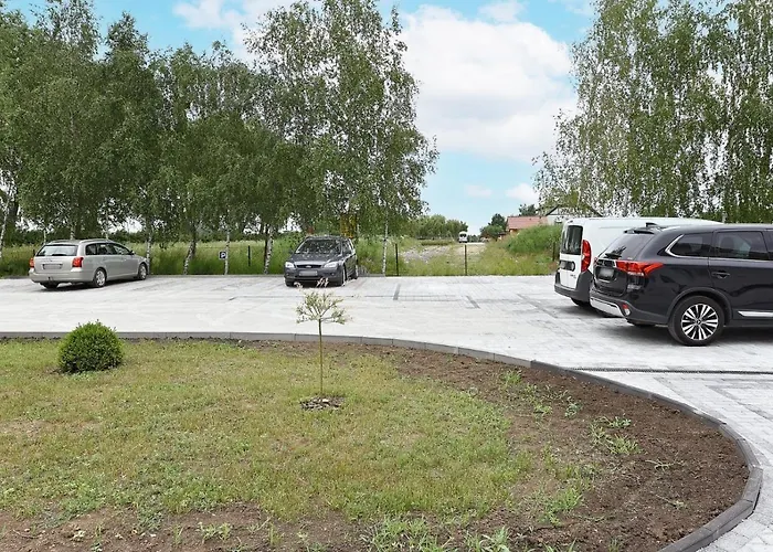 Zielona Dolina 2020 *